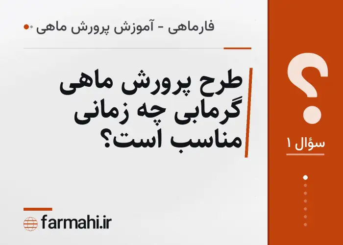طرح پرورش ماهی گرمابی چه زمانی مناسب است؟