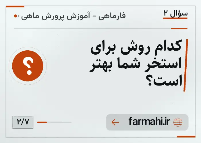 کدام روش برای استخر شما بهتر است؟