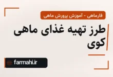 طرز تهیه غذای ماهی کوی