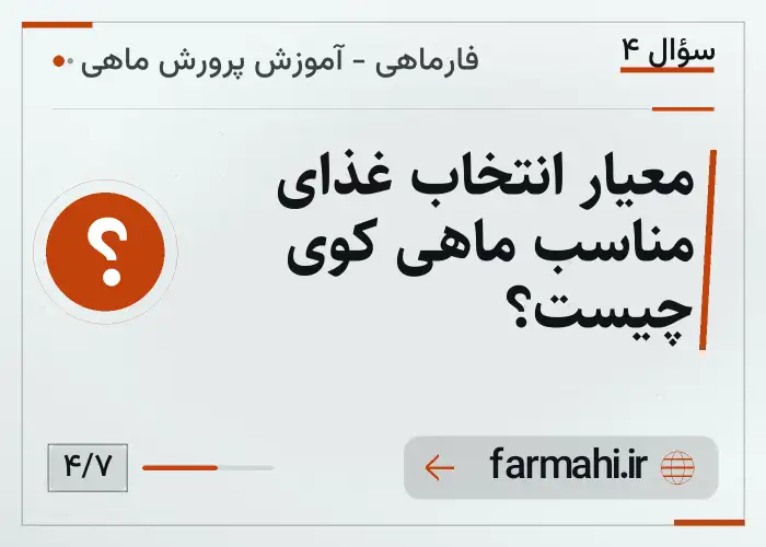معیار انتخاب غذای مناسب ماهی کوی چیست؟