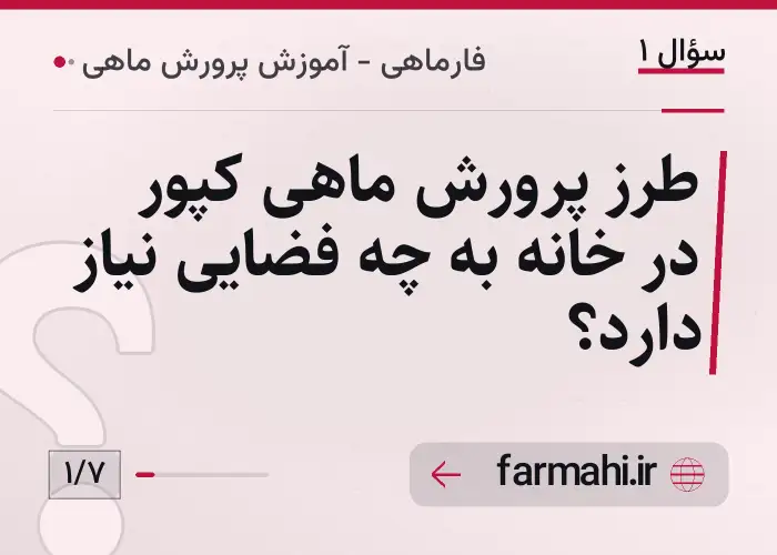 طرز پرورش ماهی کپور در خانه به چه فضایی نیاز دارد؟