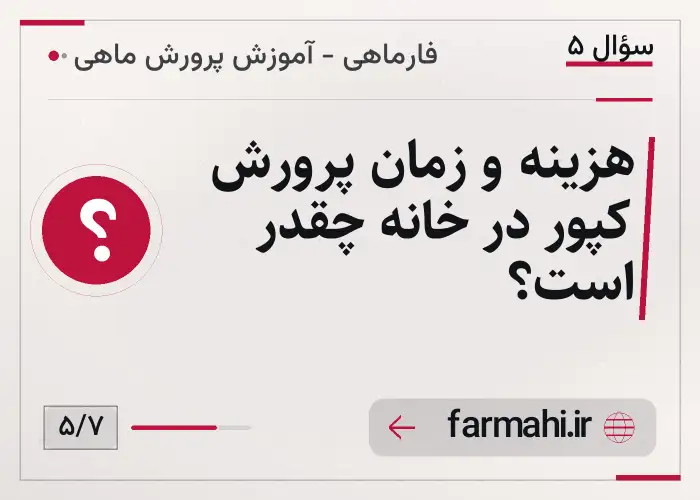 هزینه و زمان پرورش کپور در خانه چقدر است؟