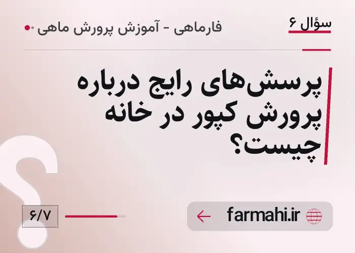پرسش‌های رایج درباره پرورش کپور در خانه چیست؟