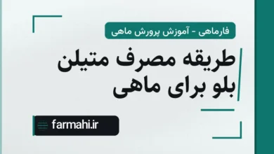 طریقه مصرف متیلن بلو برای ماهی