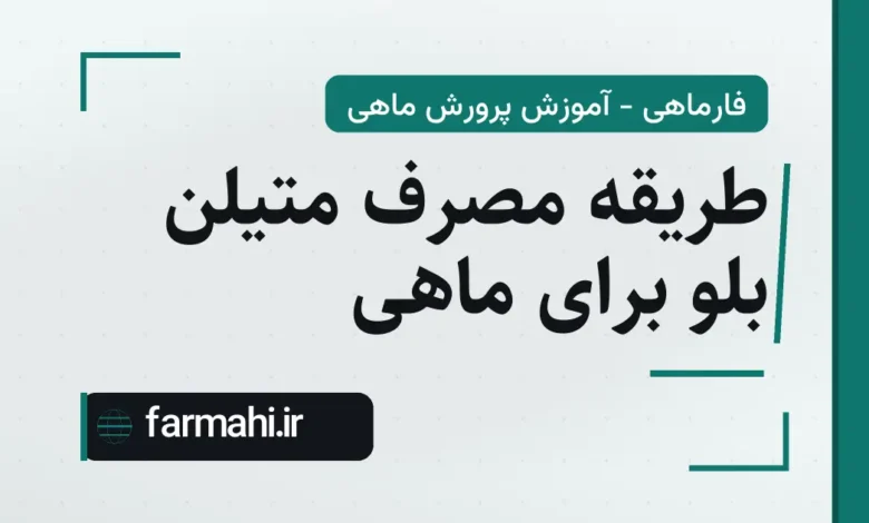 طریقه مصرف متیلن بلو برای ماهی