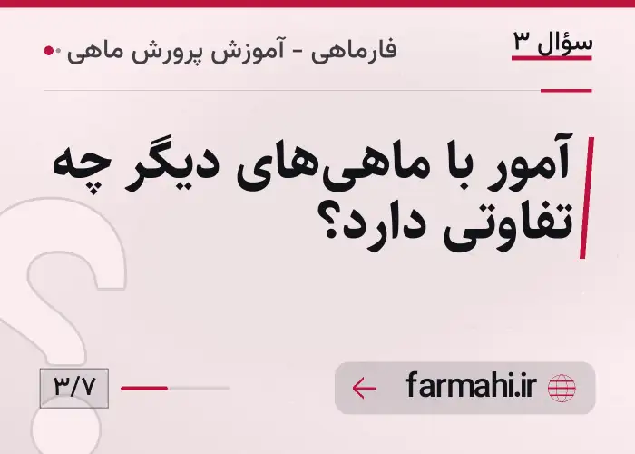 آمور با ماهی‌های دیگر چه تفاوتی دارد؟
