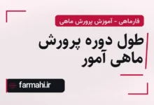 طول دوره پرورش ماهی آمور