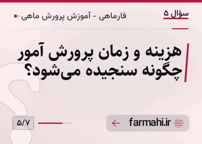 هزینه و زمان پرورش آمور چگونه سنجیده می‌شود؟
