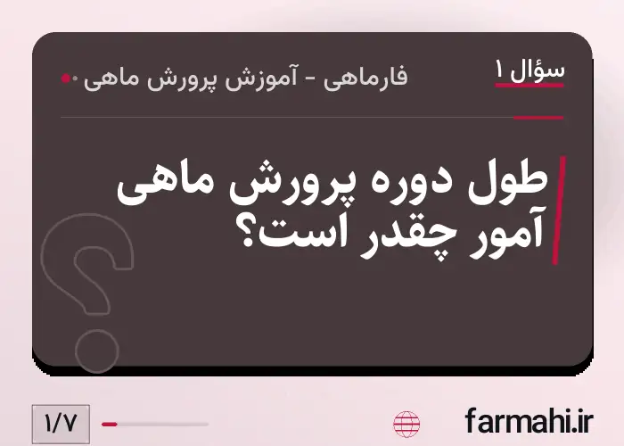 طول دوره پرورش ماهی آمور چقدر است؟