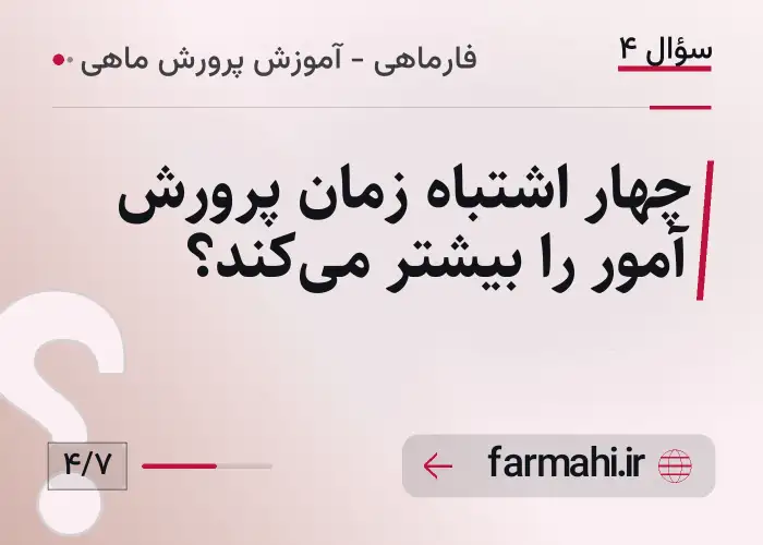 چهار اشتباه زمان پرورش آمور را بیشتر می‌کند؟
