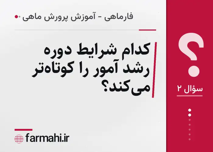 کدام شرایط دوره رشد آمور را کوتاه‌تر می‌کند؟