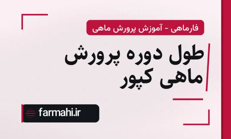 طول دوره پرورش ماهی کپور