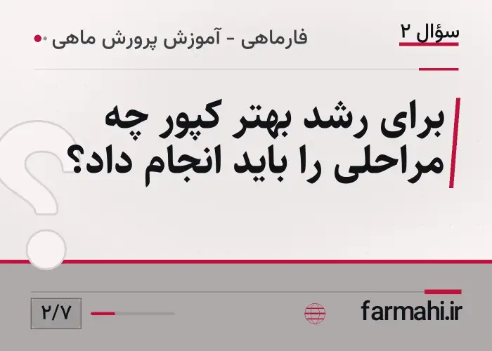 برای رشد بهتر کپور چه مراحلی را باید انجام داد؟