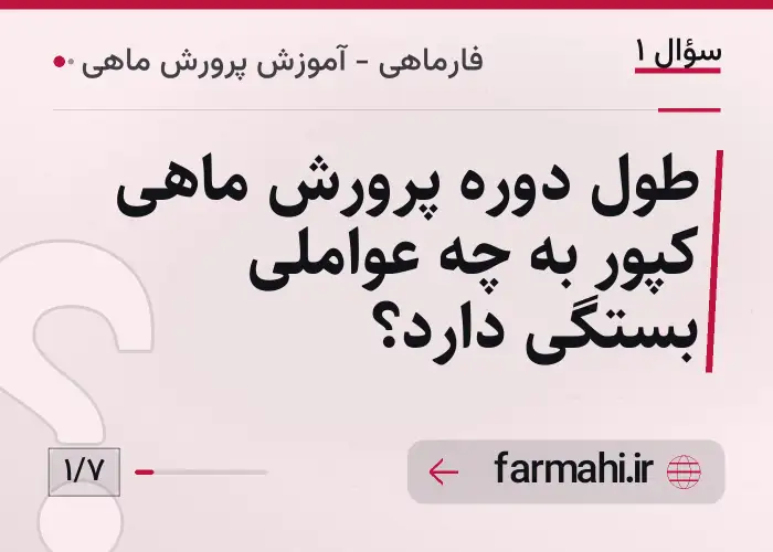 طول دوره پرورش ماهی کپور به چه عواملی بستگی دارد؟