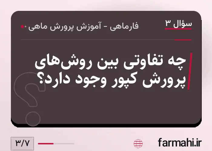 چه تفاوتی بین روش‌های پرورش کپور وجود دارد؟