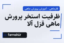 ظرفیت استخر پرورش ماهی قزل آلا