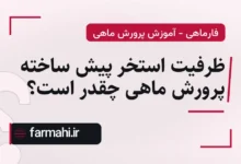 ظرفیت استخر پیش ساخته پرورش ماهی چقدر است؟