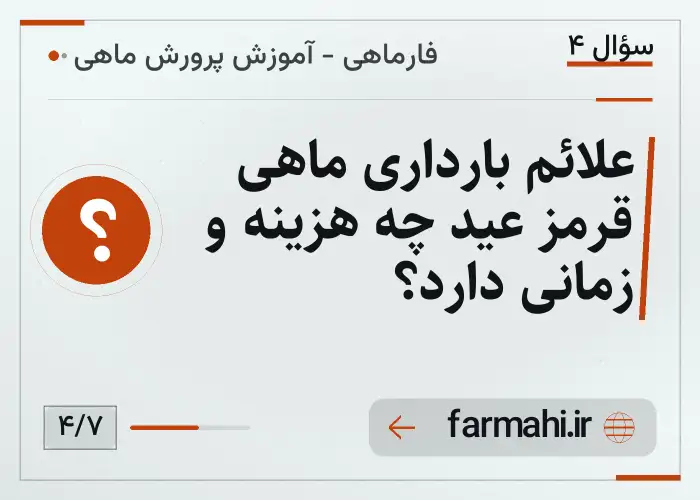 علائم بارداری ماهی قرمز عید چه هزینه و زمانی دارد؟