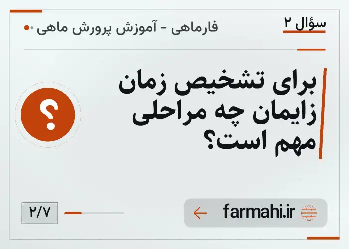 برای تشخیص زمان زایمان چه مراحلی مهم است؟