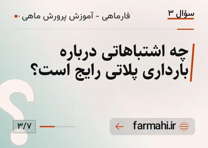 چه اشتباهاتی درباره بارداری پلاتی رایج است؟
