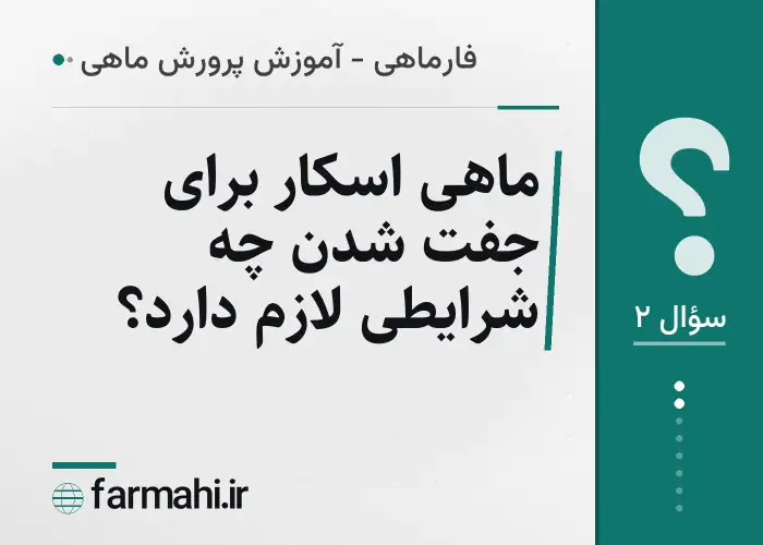 ماهی اسکار برای جفت شدن چه شرایطی لازم دارد؟