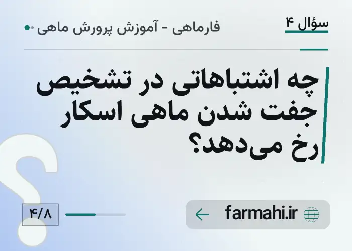 چه اشتباهاتی در تشخیص جفت شدن ماهی اسکار رخ میدهد؟