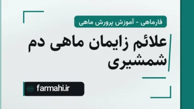 علائم زایمان ماهی دم شمشیری