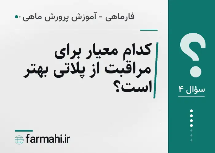 کدام معیار برای مراقبت از پلاتی بهتر است؟