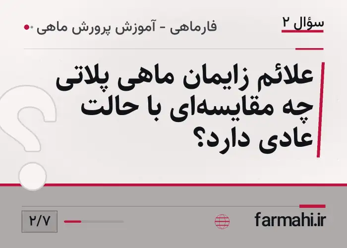 علائم زایمان ماهی پلاتی چه مقایسه‌ای با حالت عادی دارد؟