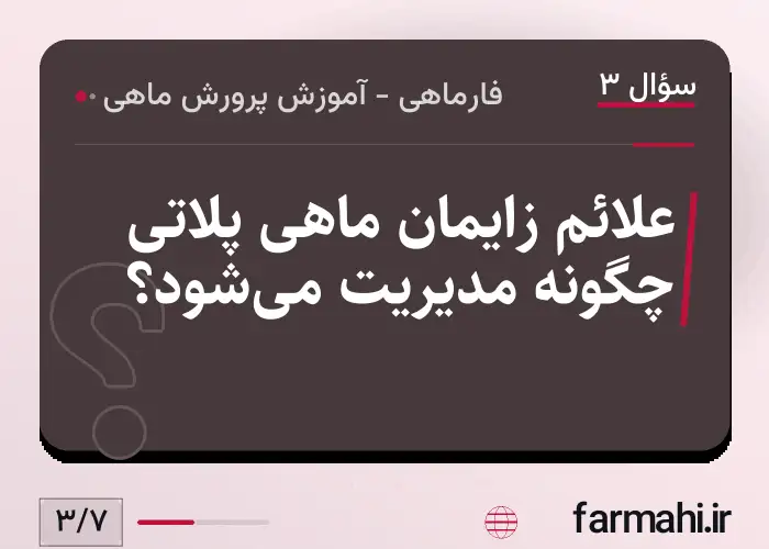 علائم زایمان ماهی پلاتی چگونه مدیریت می‌شود؟