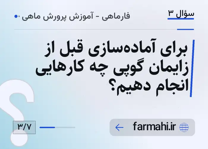 برای آماده‌سازی قبل از زایمان گوپی چه کارهایی انجام دهیم؟
