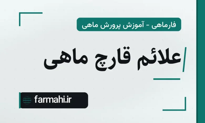 علائم قارچ ماهی