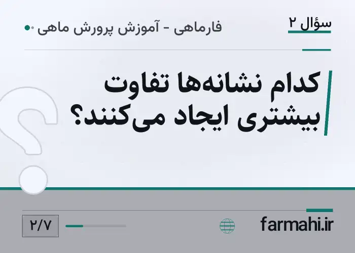 کدام نشانه‌ها تفاوت بیشتری ایجاد می‌کنند؟