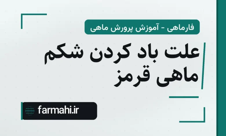 علت باد کردن شکم ماهی قرمز