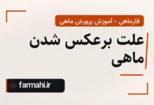 علت برعکس شدن ماهی