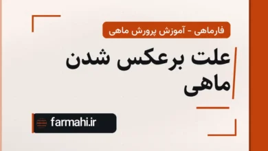 علت برعکس شدن ماهی