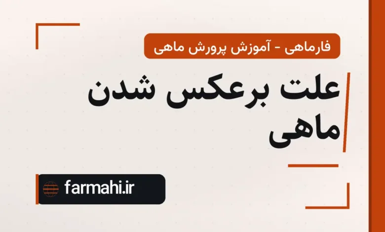 علت برعکس شدن ماهی