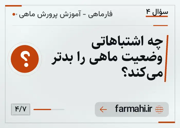 چه اشتباهاتی وضعیت ماهی را بدتر می‌کند؟