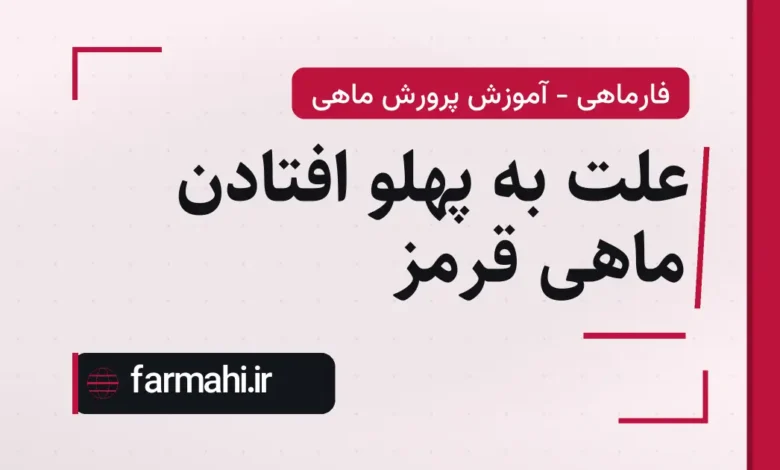 علت به پهلو افتادن ماهی قرمز