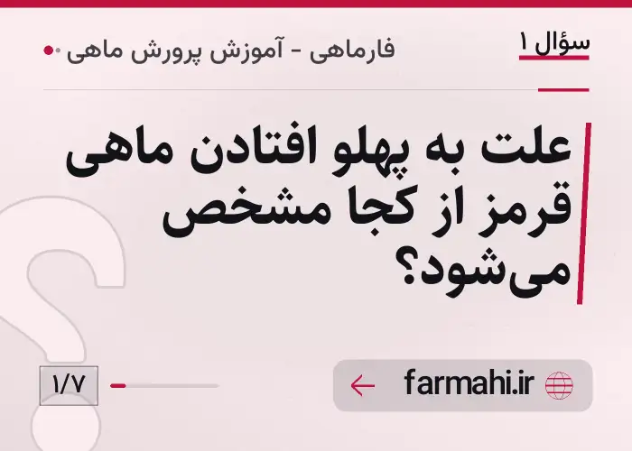 علت به پهلو افتادن ماهی قرمز از کجا مشخص می‌شود؟
