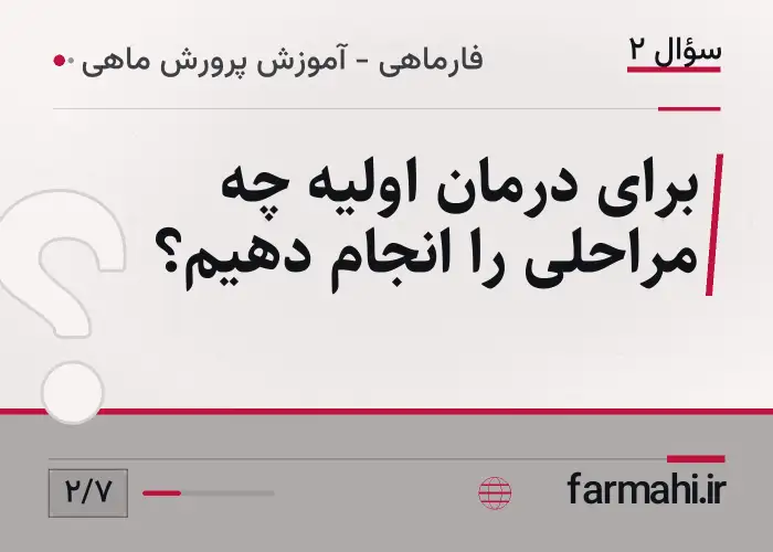 برای درمان اولیه چه مراحلی را انجام دهیم؟