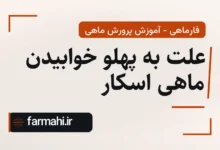 علت به پهلو خوابیدن ماهی اسکار