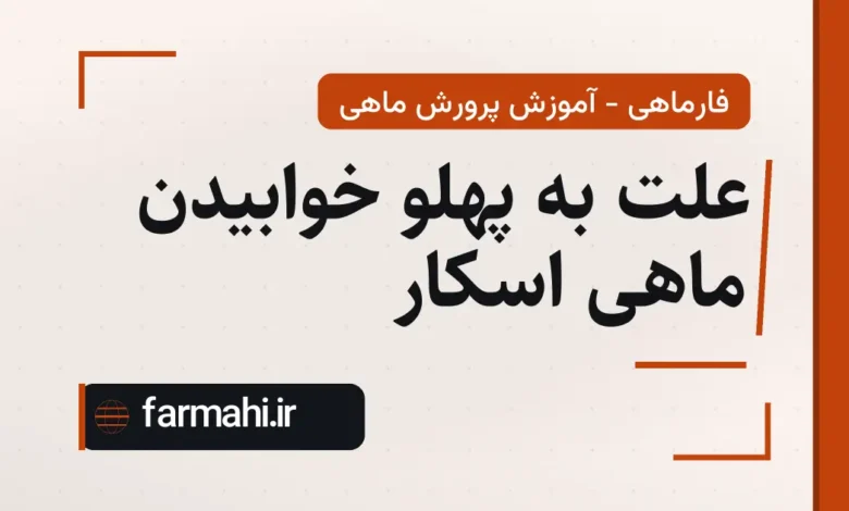 علت به پهلو خوابیدن ماهی اسکار
