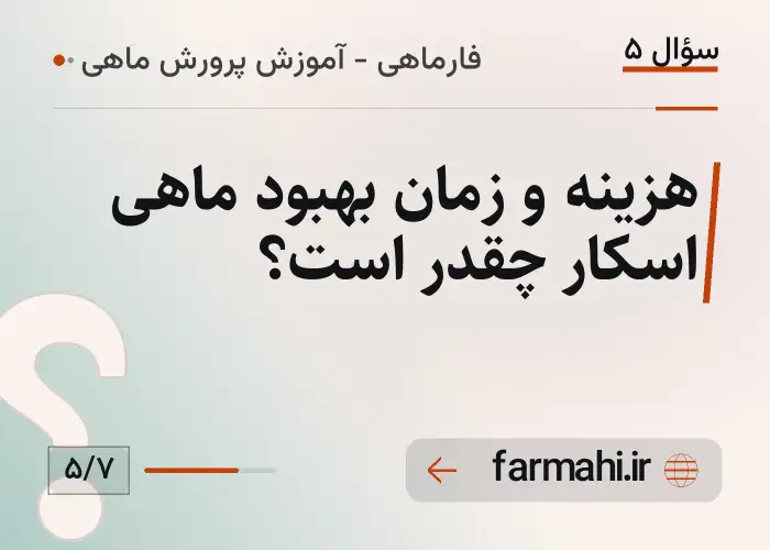 هزینه و زمان بهبود ماهی اسکار چقدر است؟