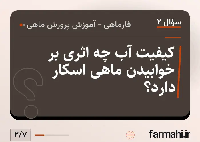 کیفیت آب چه اثری بر خوابیدن ماهی اسکار دارد؟