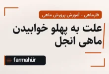علت به پهلو خوابیدن ماهی انجل
