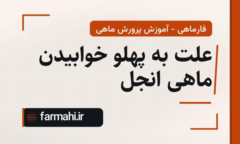 علت به پهلو خوابیدن ماهی انجل
