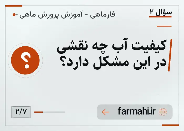 کیفیت آب چه نقشی در این مشکل دارد؟