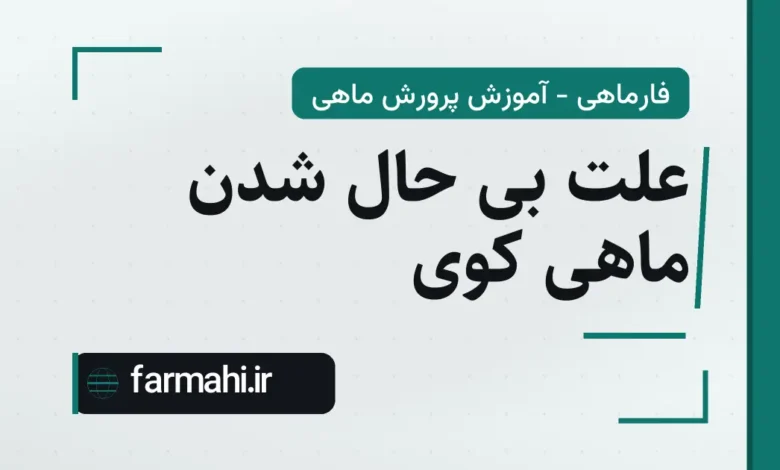 علت بی حال شدن ماهی کوی