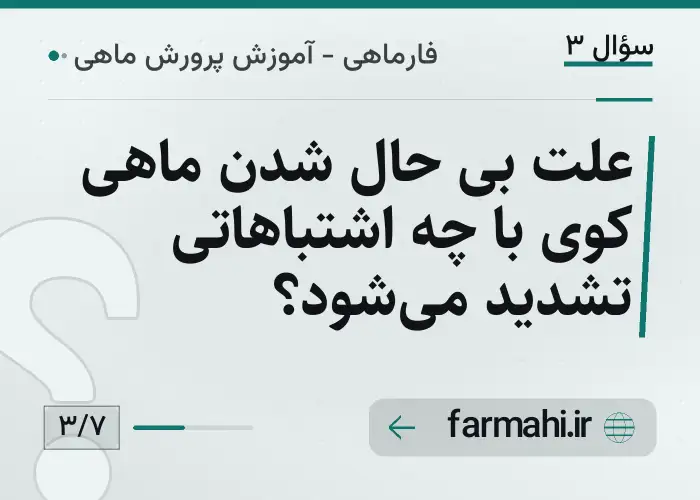 علت بی حال شدن ماهی کوی با چه اشتباهاتی تشدید می‌شود؟